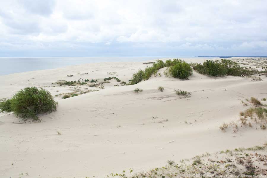 Фото - Денис Туголуков, «Новый Калининград.Ru»