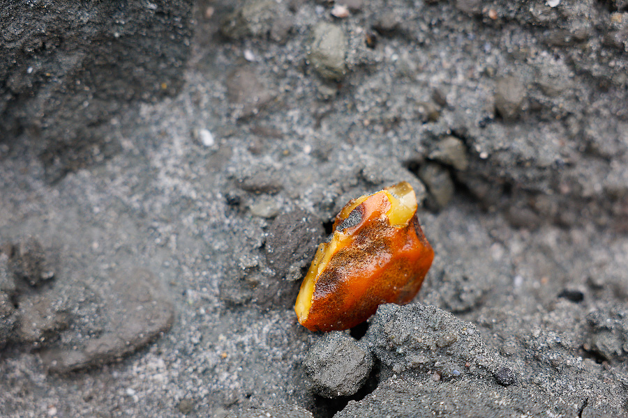 «Янтарь любит человека»: как живет единственный в мире Янтарный комбинат