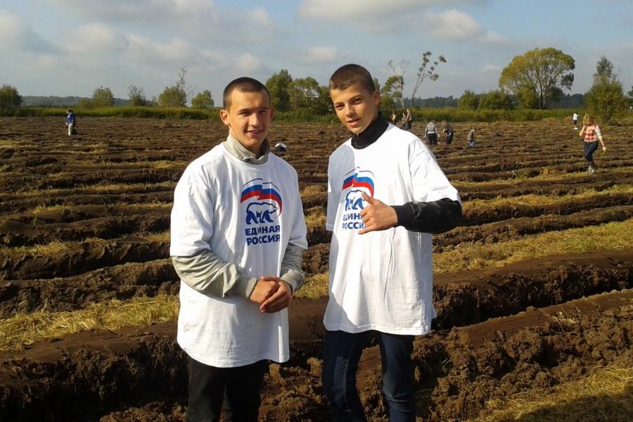 «Елки-палки»: фоторепортаж «Нового Калининграда.Ru»