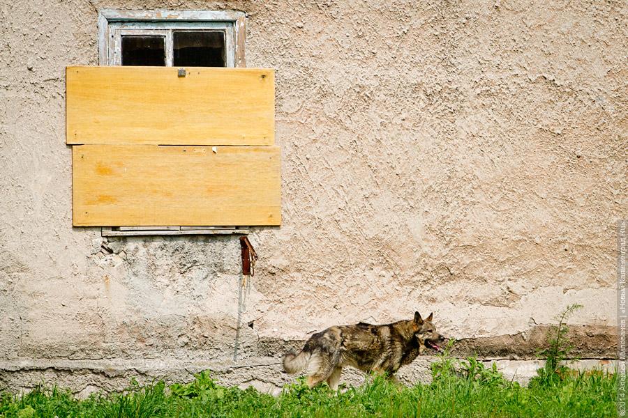 Фото «Нового Калининграда.Ru»