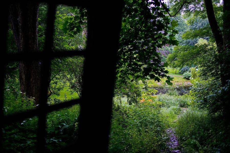 На неведомых дорожках: дендропарк калининградского Экоцентра