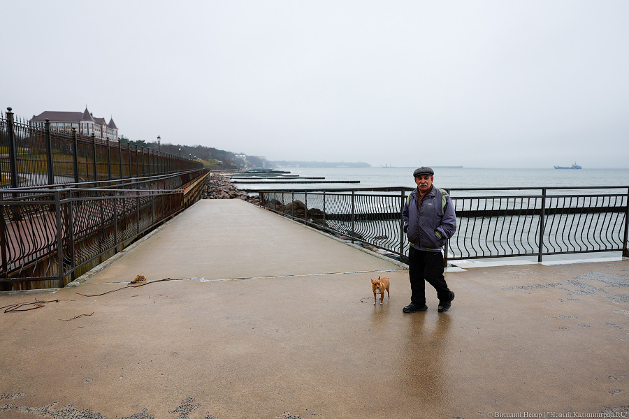 Тройной удар: состояние променада в Пионерском ухудшилось после зимних штормов (фото)