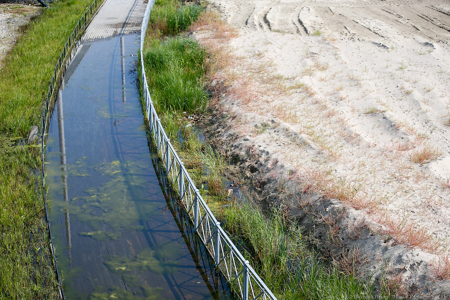 Дорожка для водного велосипеда: как тонут окрестности стадиона в Калининграде