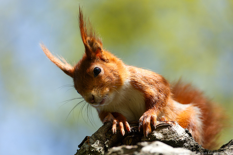Льготная ипотека, защита должников и детские пособия: нововведения мая