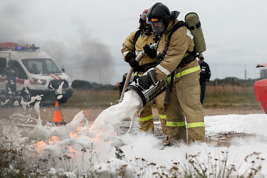 МЧС просит калининградцев не ходить в лес из-за жары