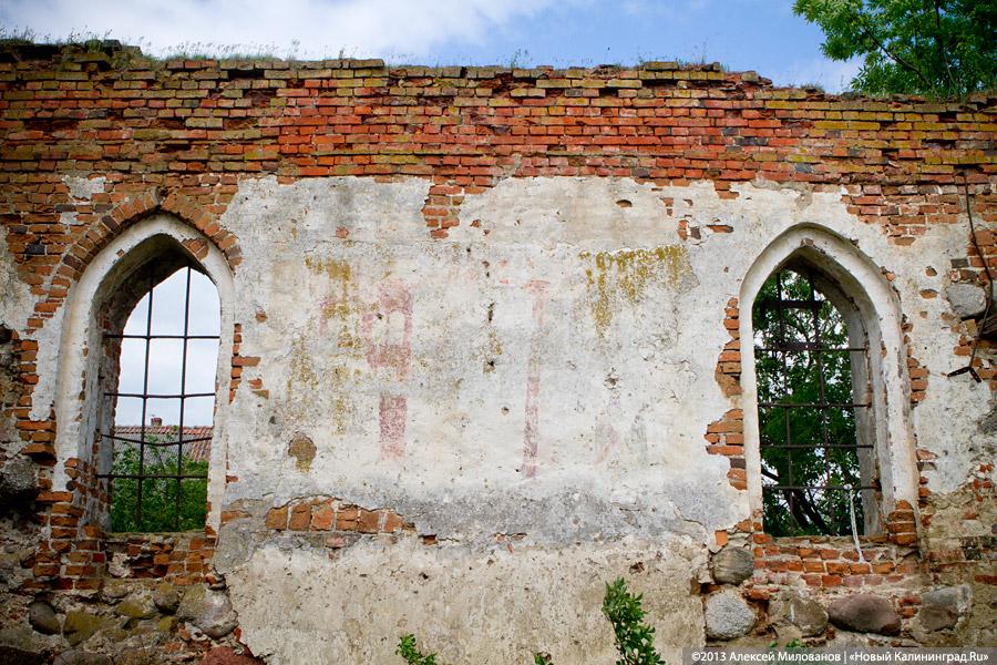 Навоз и куры: кирха 14-го века в поселке Каштаново стала пастбищем для скота