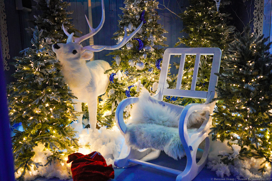 Свая Эдик вместо Снегурочки: у стадиона «Калининград» появился Домик Деда Мороза (фото)