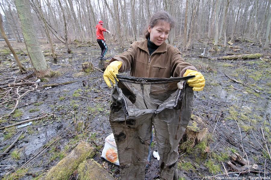 "Чистый лес: 115 на 40": фоторепортаж "Нового Калининграда.Ru" 