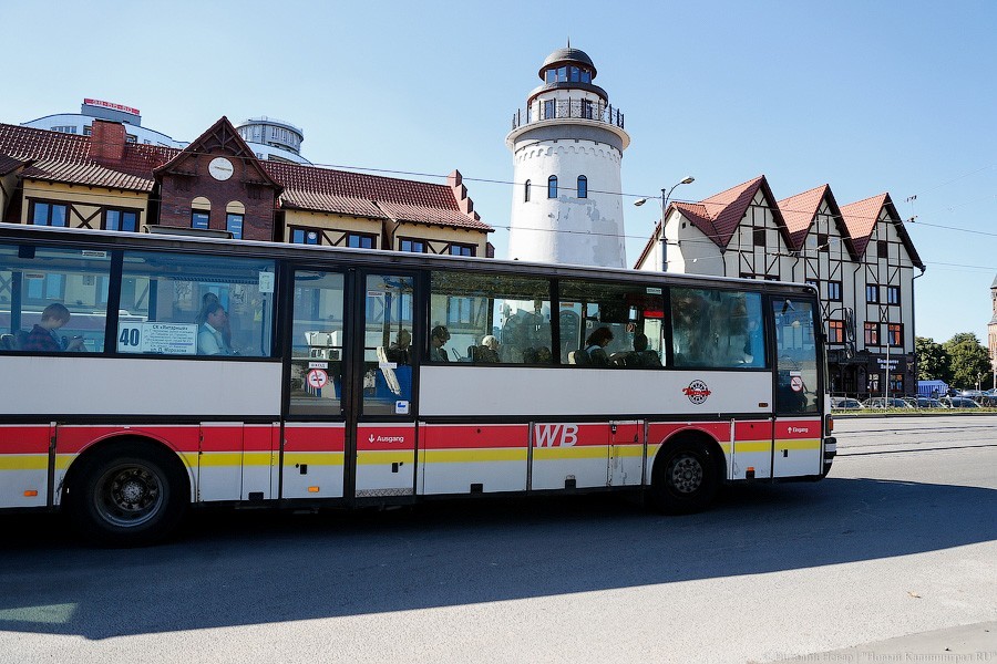 Мэрия: увеличим количество общественного транспорта в Калининграде в «часы пик»