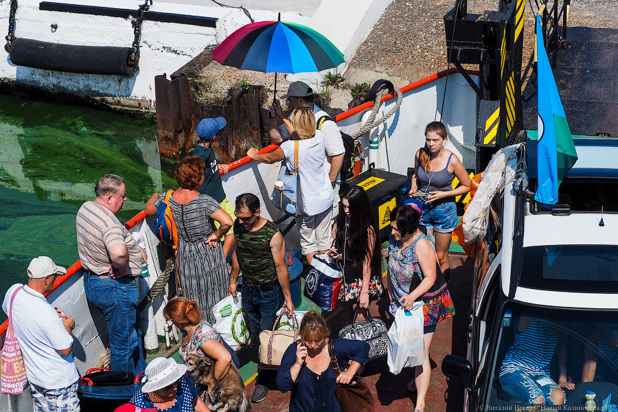 Виталий Невар / Новый Калининград