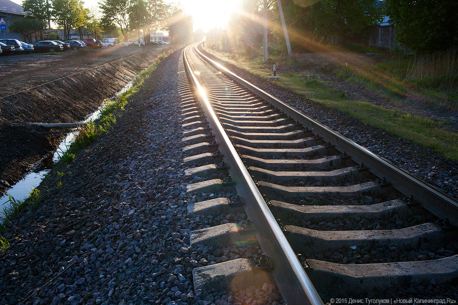 У поездов зеленоградского и советского направления появились новые остановки