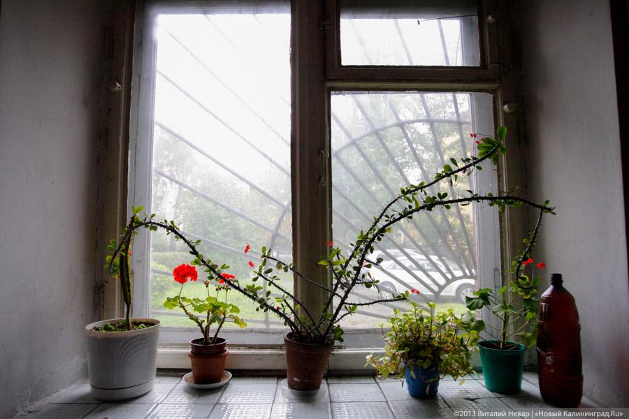 Храм науки: ученые филиала РАН, находящегося в кирхе Св. Адальберта, боятся выселения