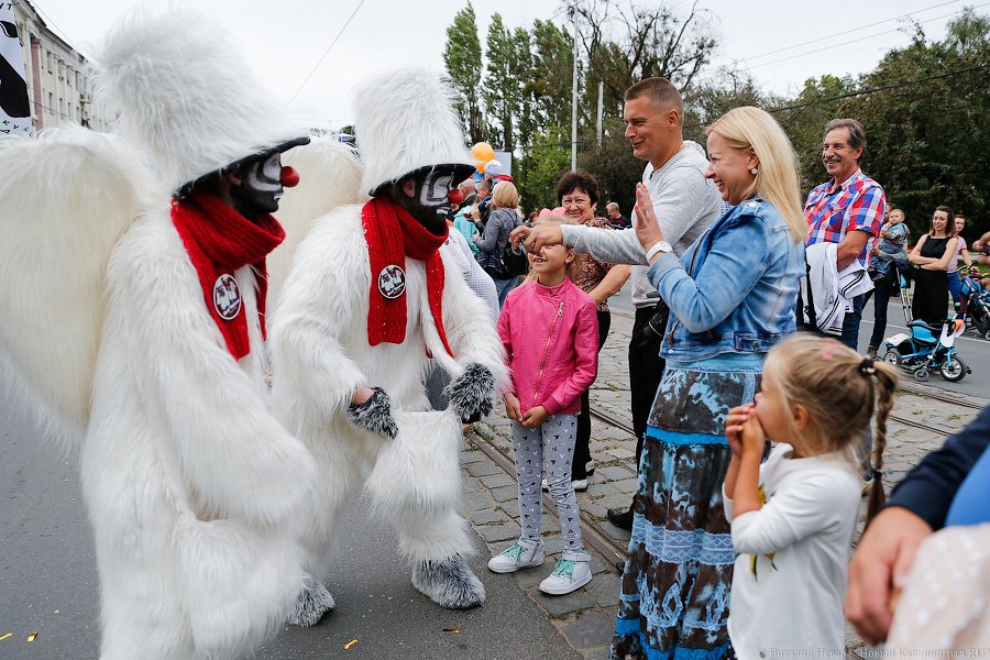 Все при параде: пешеходная зона Калининграда в День города (фото)