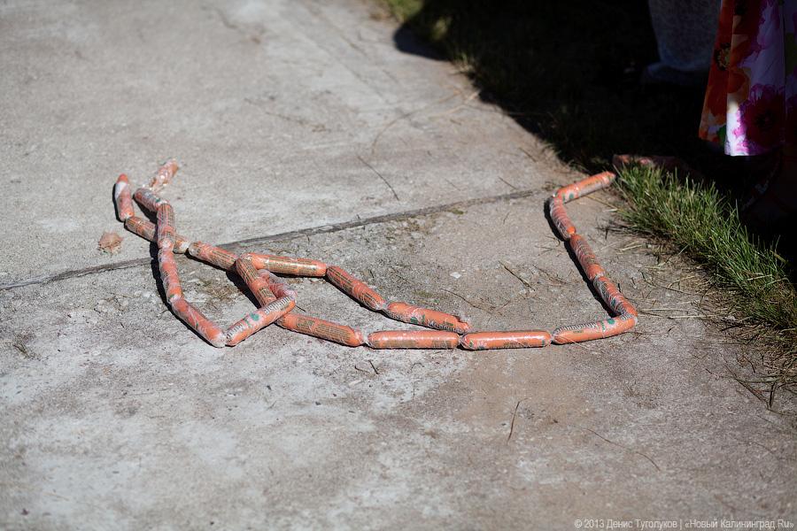 Колбасный Fest: В Славске прошел международный гастрономический фестиваль