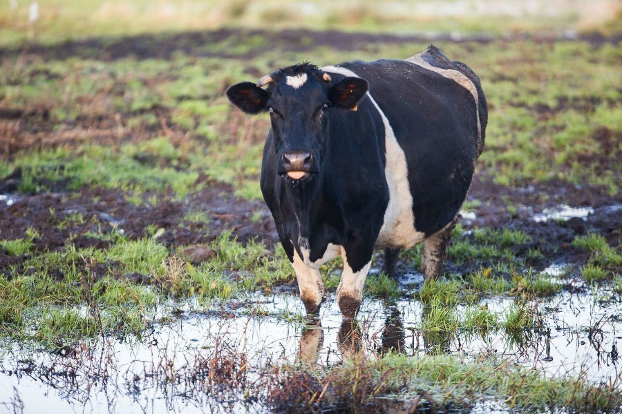 На мелиорацию в регионе выделена 25-я часть от необходимого до 2030 года