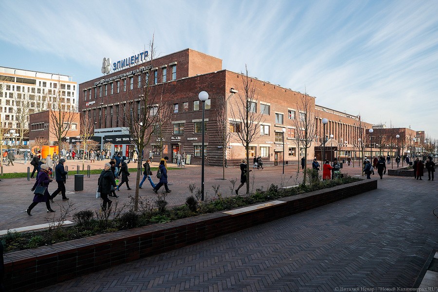 Директор рынка об отключении звуковой рекламы: Дятлова «нашла слова»