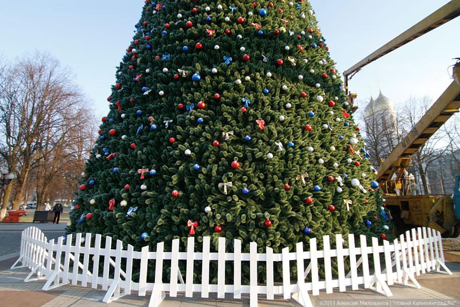 "Много на ёлочке шариков цветных": фоторепортаж "Нового Калининграда.Ru"