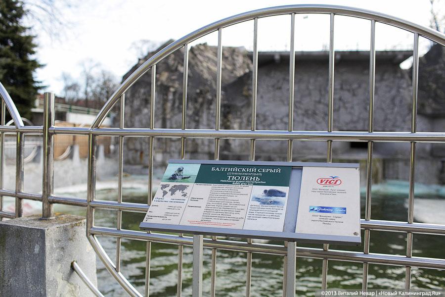 «Белый и пушистый»: портрет белька в интерьере зоопарка