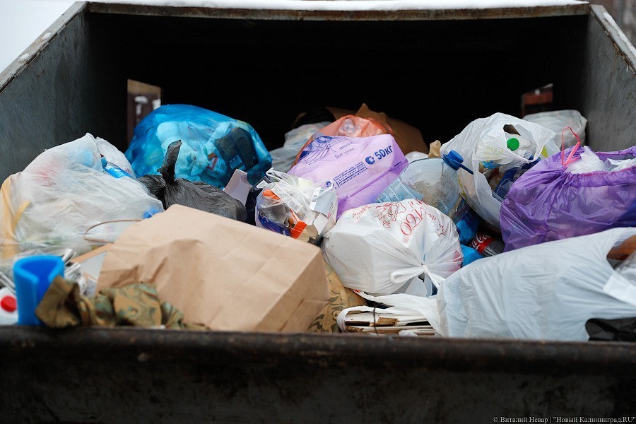 Горвласти: мусор в Калининграде вывозится нерегулярно, ситуация нестабильна