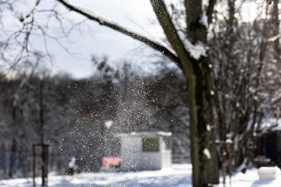 Зима не сдаётся: как выглядят улицы Калининграда после «снежного удара» (фото)