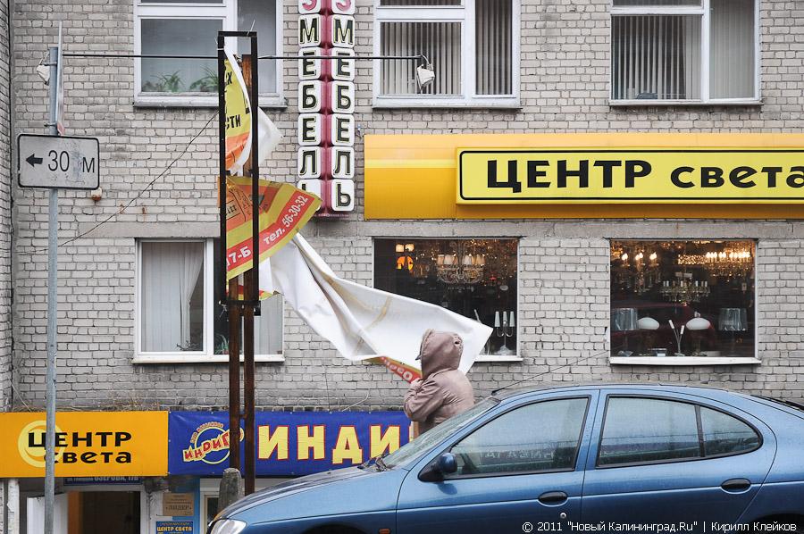 "Что нам ветер": фоторепортаж "Нового Калининграда.Ru"