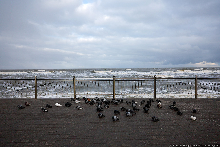 Кто здесь царь: последствия штормов на побережье (фото)