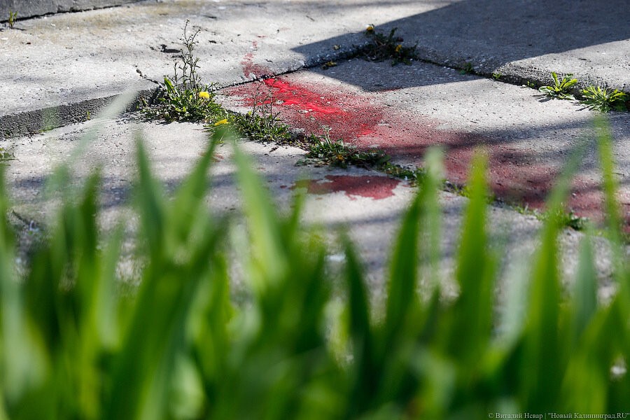 В областную Думу внесли поправки о штрафах за высокую траву и брошенные машины
