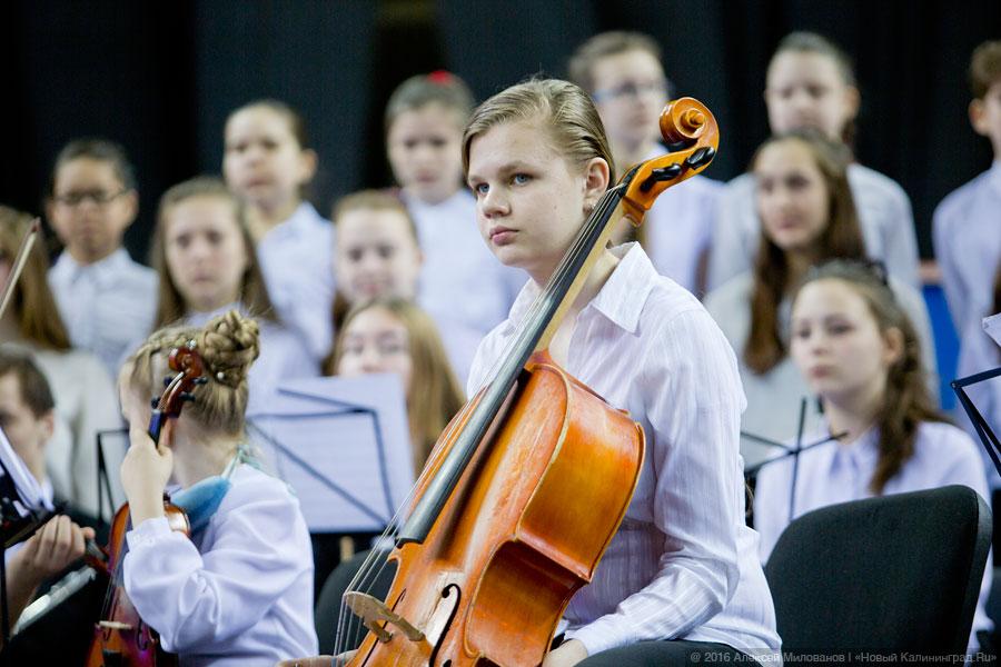 Жизнь как главный проект: выставка «PRO Ярмарка образования» в Калининграде