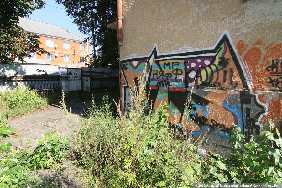 «Куда ушли детские сады»: фоторепортаж «Нового Калининграда.Ru»