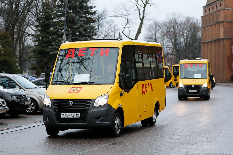 Жёлтые газели: муниципалитетам вручили ключи от новых школьных автобусов