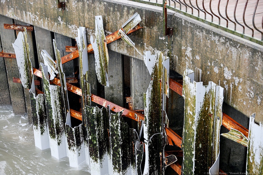 Резиденция на краю: берег в Пионерском рушится в море