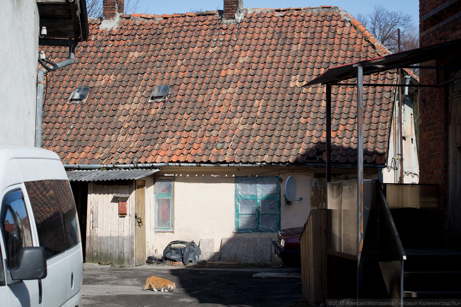 Кранц под снос: власти Зеленоградска освобождают центр от старых домов (фото)