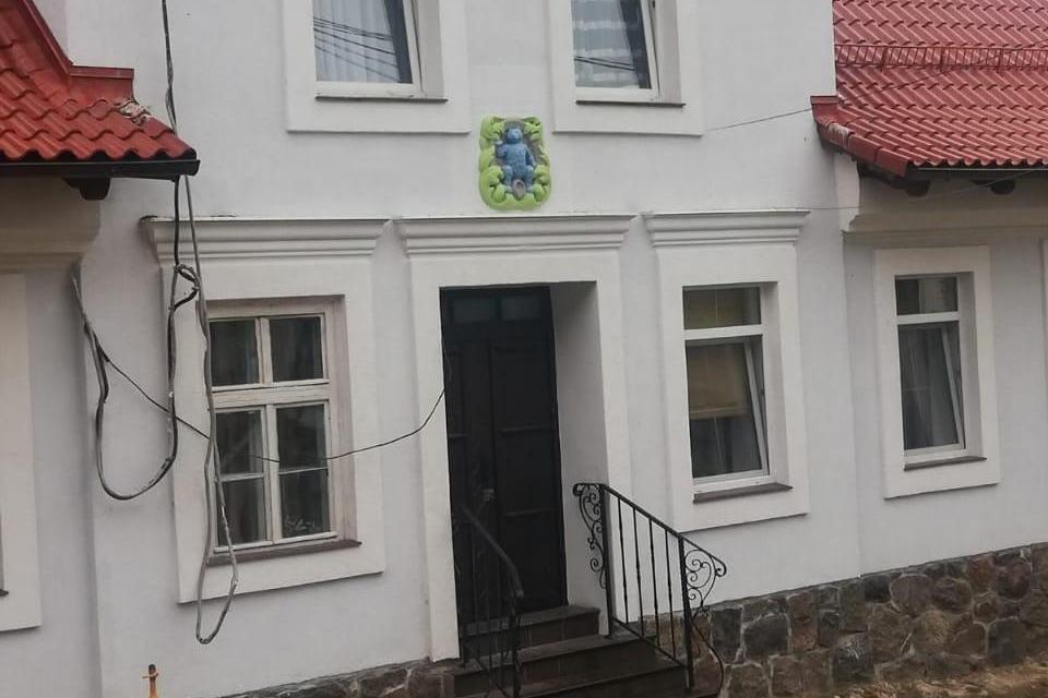 Синего кота в Железнодорожном оставили синим (фото)