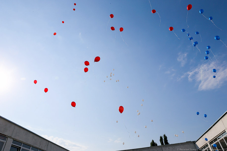 Самые дорогие в России: почему в регионе «взлетели» цены на воздушные шары с гелием