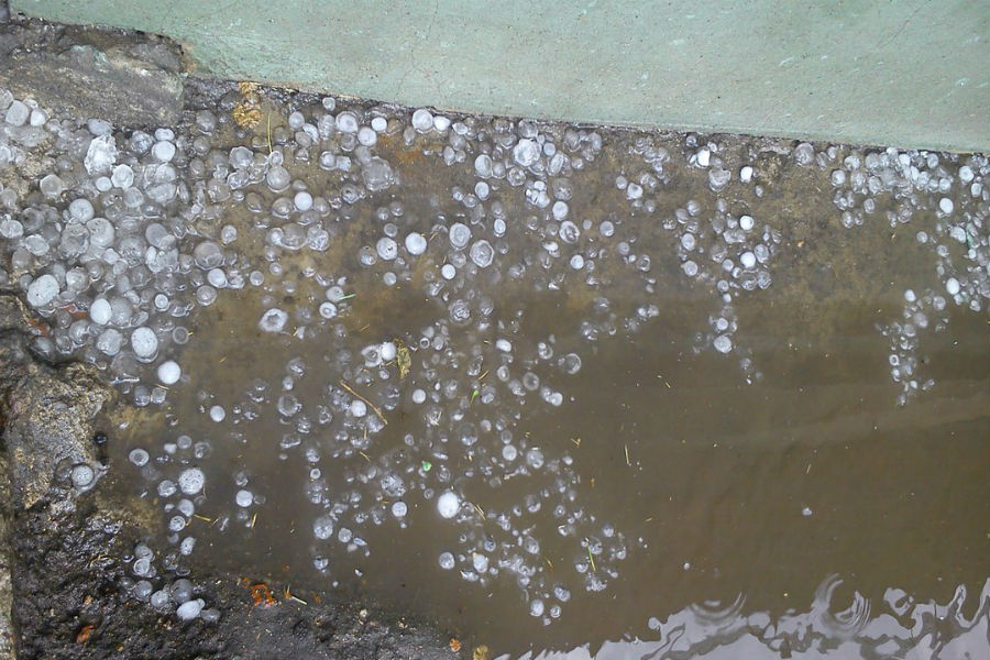 Хляби небесные: крупный град глазами читателей «Нового Калининграда.Ru»