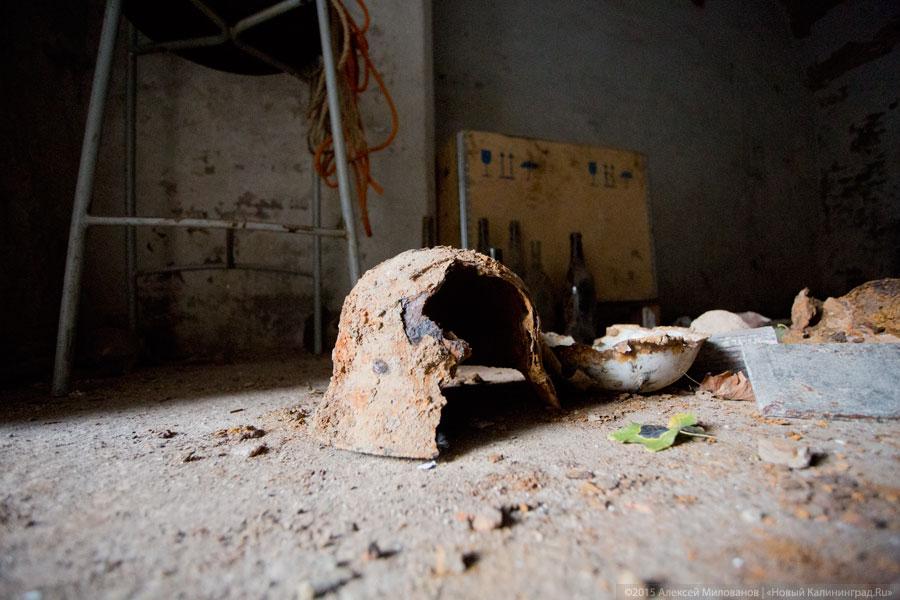 Без сауны и алкоголя: что «Ночные волки» хотят делать в крепости Калининграда