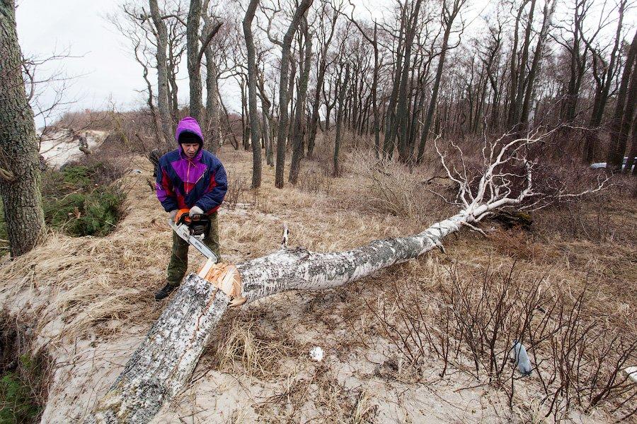 «Спасение косы: любительский вариант»: фоторепортаж «Нового Калининграда.Ru»