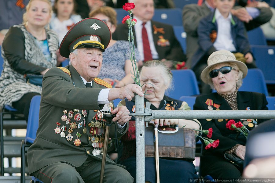 По главной улице с оркестром: как в Калининграде прошёл Парад Победы (фото)