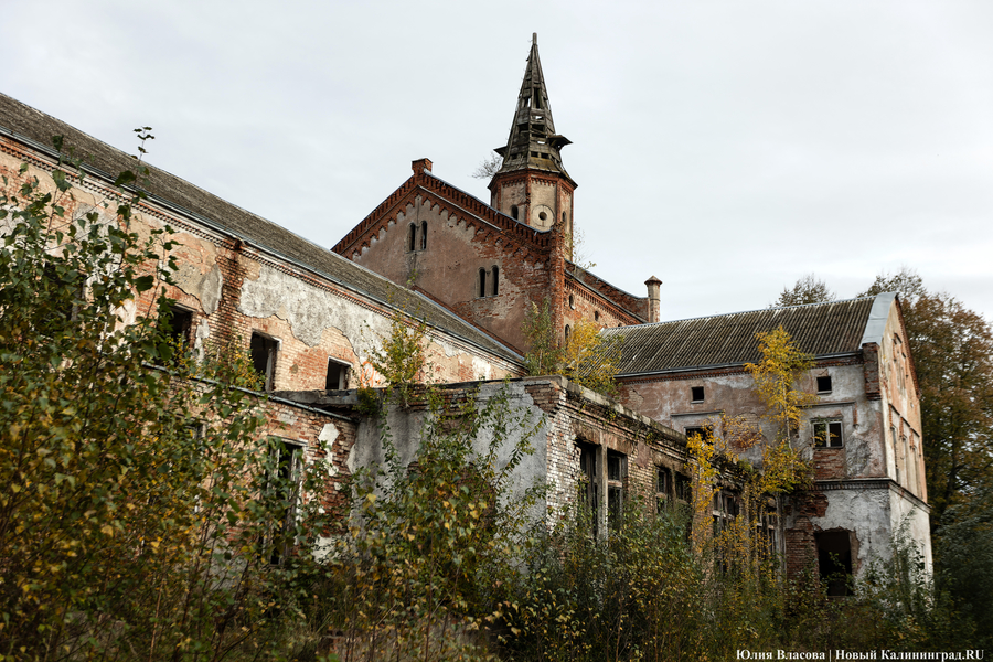 Фото: Юлия Власова / Новый Калининград