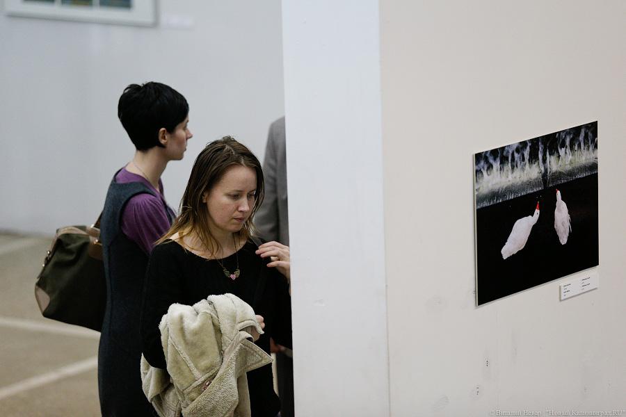 Картинки с выставки: открытие Балтийской биеннале фотографии