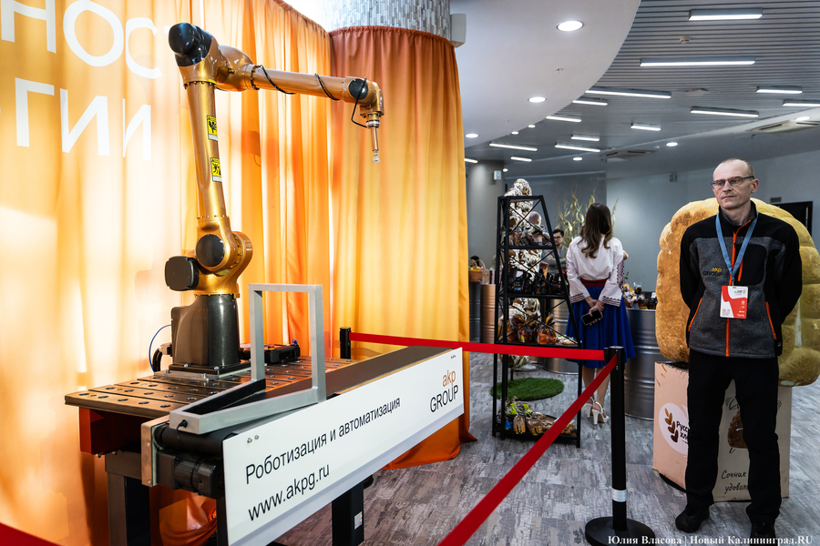 «Как победить тлен»: в Светлогорске открылся Международный балтийский бизнес-форум