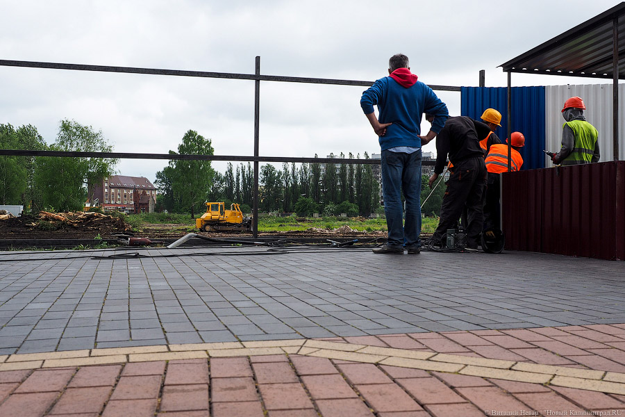 Началась вырубка на территории «Рыбной деревни-2»
