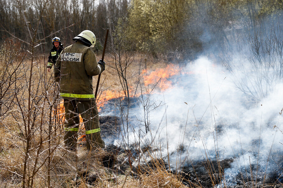 Метеоэксперты: ситуация с палами травы в области ухудшается