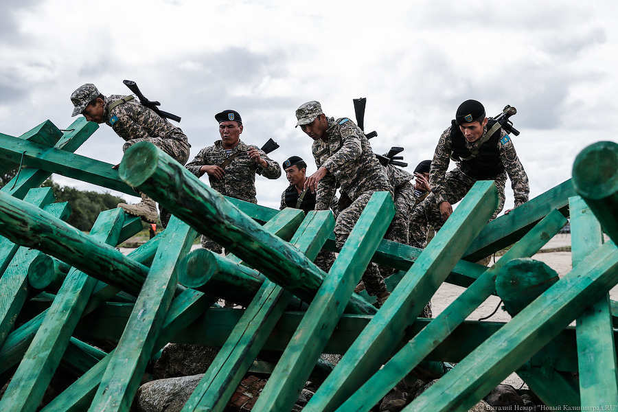 Чей морпех круче всех: фоторепортаж с конкурса «Полоса препятствий»