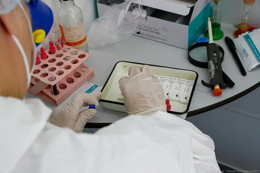 В Калининградской области за сутки вновь зарегистрировали десятки случаев коронавируса