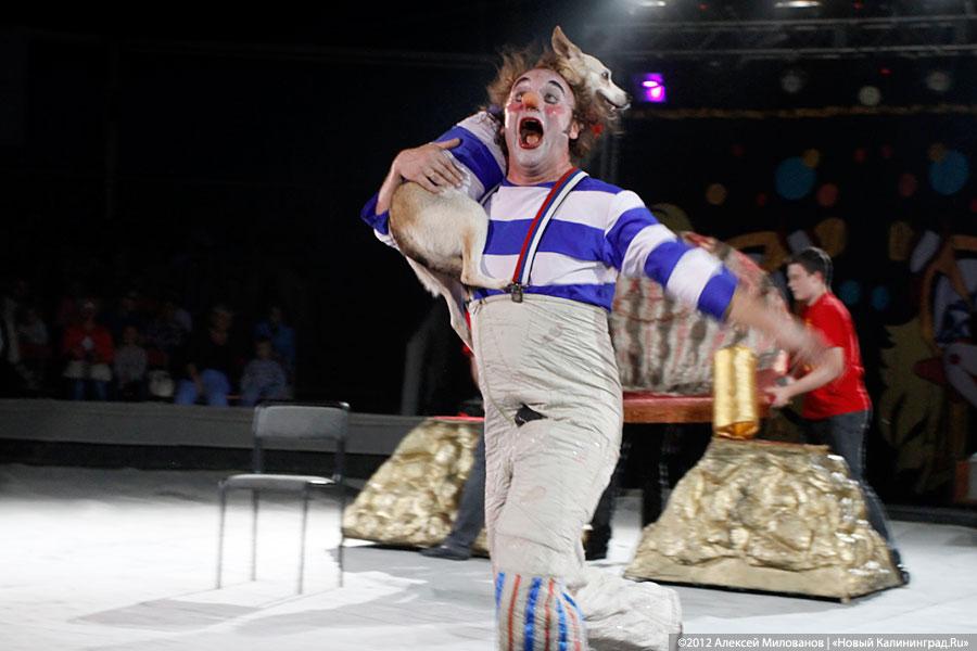 «Цирк в подарок»: фоторепортаж c премьеры цирковой программы