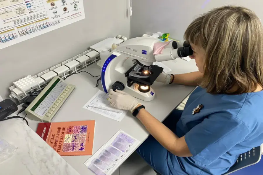 ГБУВ КО «Областная СББЖ»