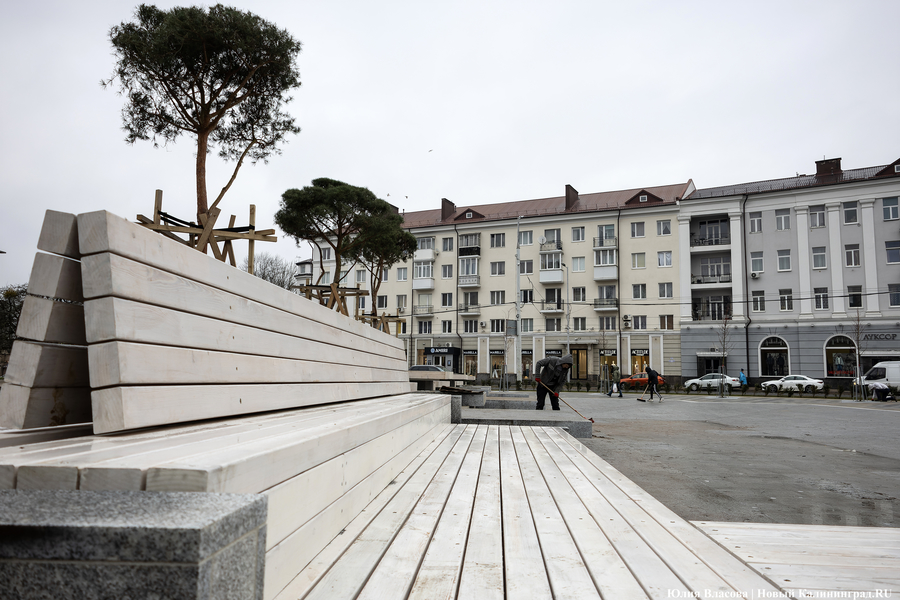 В трех соснах: как выглядит благоустроенная территория у стадиона «Балтика» (фото)