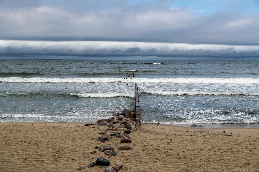 Время собирать камни: как восстанавливают берег у резиденции в Пионерском (фото)
