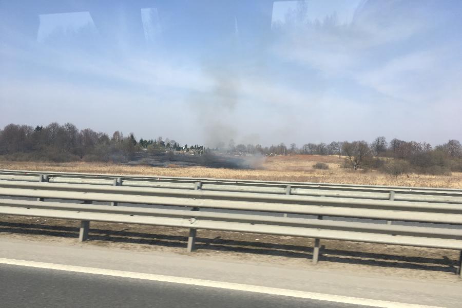 Из-за пала травы огонь подобрался к кладбищу в Гвардейском районе (фото)